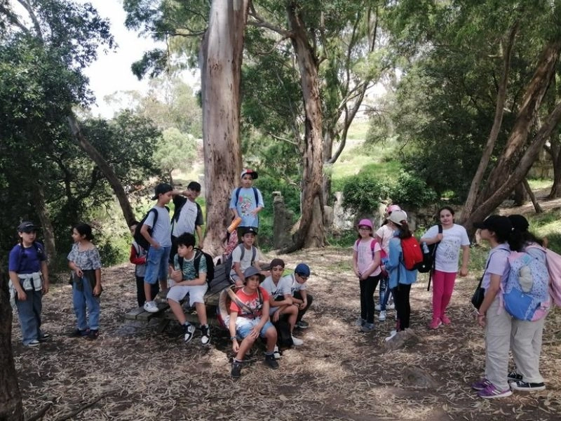 educational-tour-for-schools-guided-activity