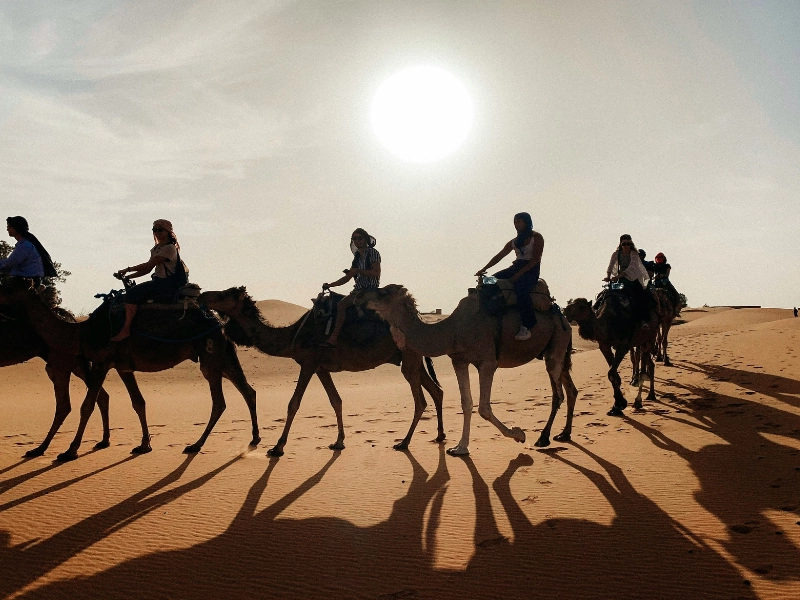 5-day-tour-marrakech-merzouga-desert-camel-trekking