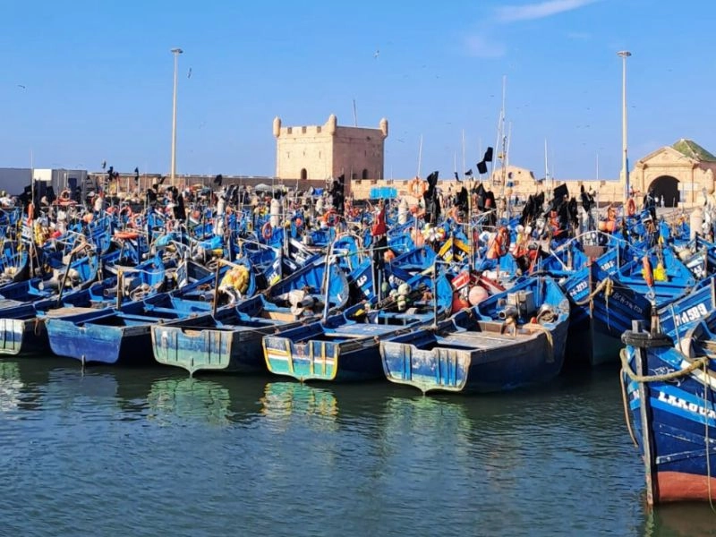 best-of-morocco-15-days-essaouira