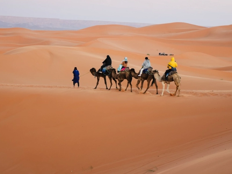 road-of-thousand-kasbahs-merzouga-desert